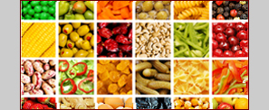 haccp